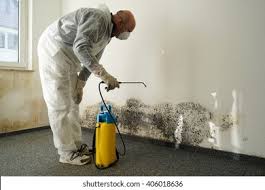 Rensselaer, NY Mold Removal & Remediation Company